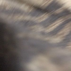 Meet your Posher, Allen